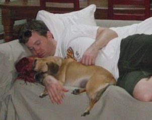 doug laying with dogs