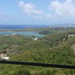 View from the 2015 Auction site